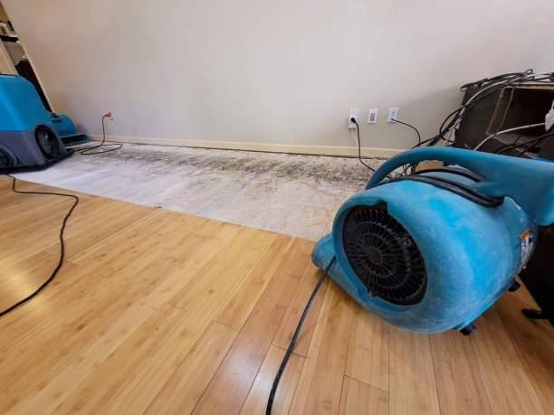 Professional Water Damage Repair technician working in Denver, NC